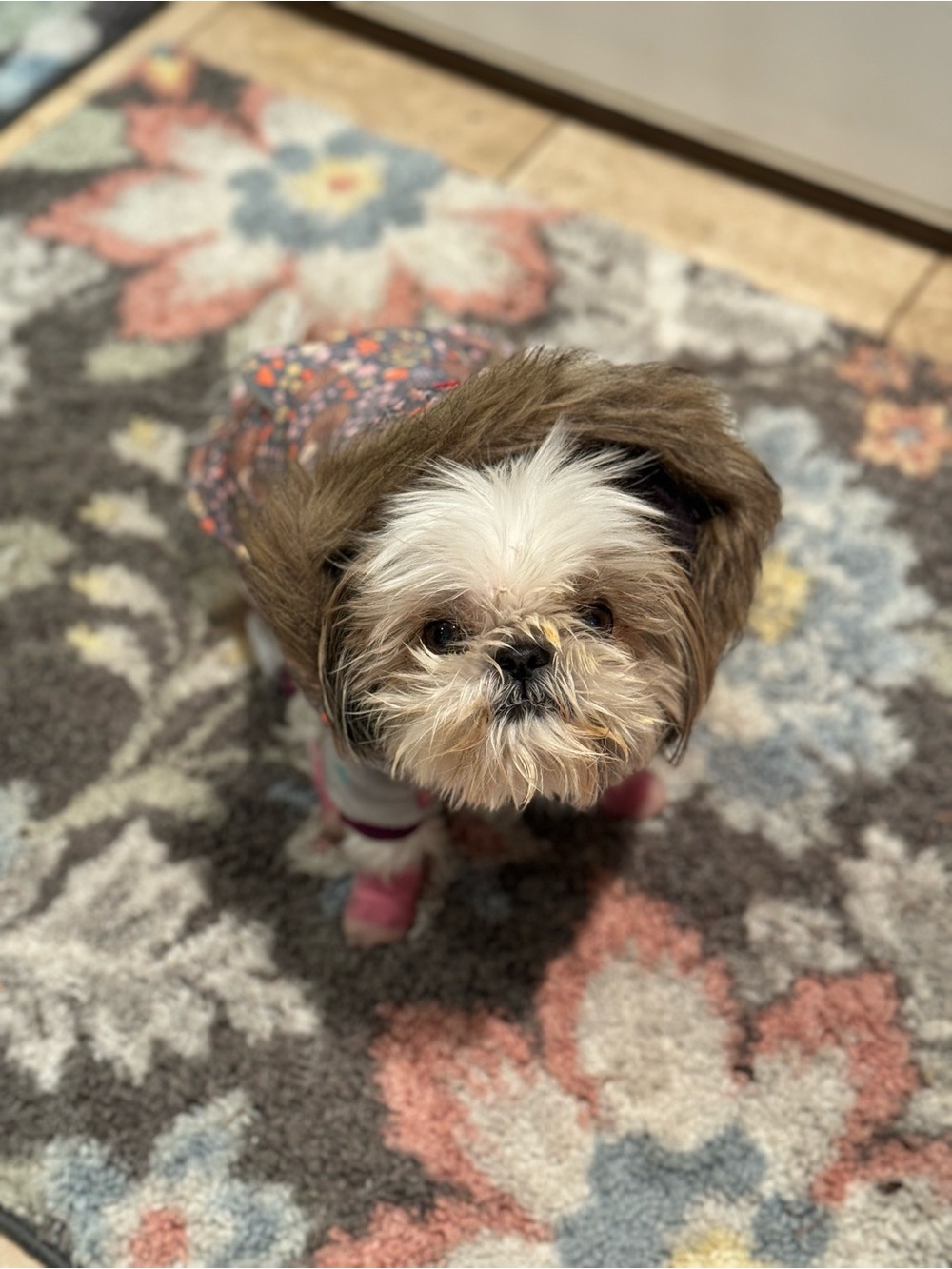 Cozy Floral Dog Coat with Faux Fur Hood